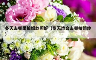 冬天去哪里拍婚纱照好（冬天适合去哪拍婚纱）