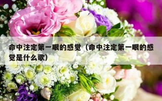命中注定第一眼的感觉（命中注定第一眼的感觉是什么歌）