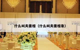 什么叫夫妻相（什么叫夫妻相象）
