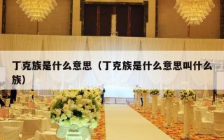 丁克族是什么意思（丁克族是什么意思叫什么族）