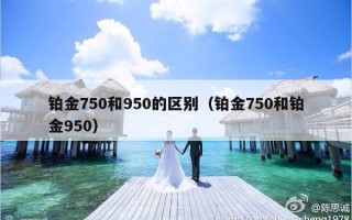 铂金750和950的区别（铂金750和铂金950）