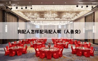 狗配人怎样配马配人呢（人善交）