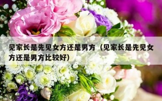 见家长是先见女方还是男方（见家长是先见女方还是男方比较好）