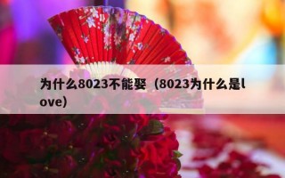 为什么8023不能娶（8023为什么是love）