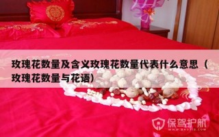 玫瑰花数量及含义玫瑰花数量代表什么意思（玫瑰花数量与花语）