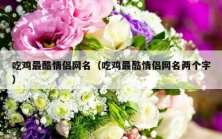 吃鸡最酷情侣网名（吃鸡最酷情侣网名两个字）