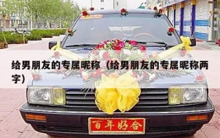 给男朋友的专属昵称（给男朋友的专属昵称两字）