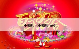 小婚礼（小婚礼mv）