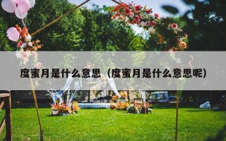 度蜜月是什么意思（度蜜月是什么意思呢）