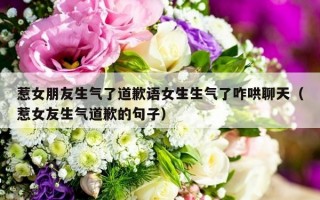 惹女朋友生气了道歉语女生生气了咋哄聊天（惹女友生气道歉的句子）