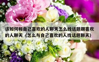 该如何和自己喜欢的人聊天怎么找话题跟喜欢的人聊天（怎么与自己喜欢的人找话题聊天）