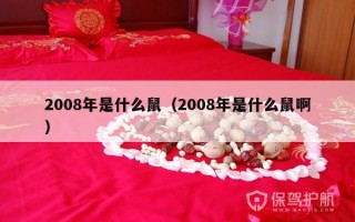 2008年是什么鼠（2008年是什么鼠啊）