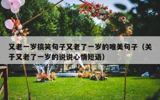 又老一岁搞笑句子又老了一岁的唯美句子（关于又老了一岁的说说心情短语）