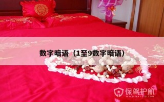 数字暗语（1至9数字暗语）