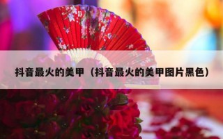 抖音最火的美甲（抖音最火的美甲图片黑色）