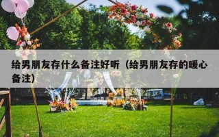 给男朋友存什么备注好听（给男朋友存的暖心备注）