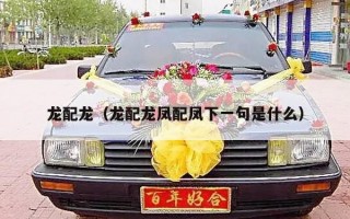 龙配龙（龙配龙凤配凤下一句是什么）