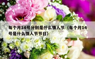 每个月14号分别是什么情人节（每个月14号是什么情人节节日）