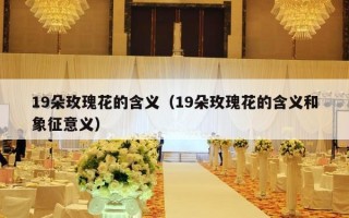 19朵玫瑰花的含义（19朵玫瑰花的含义和象征意义）