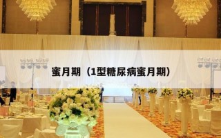 蜜月期（1型糖尿病蜜月期）