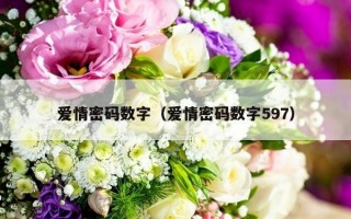 爱情密码数字（爱情密码数字597）