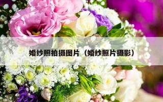 婚纱照拍摄图片（婚纱照片摄影）