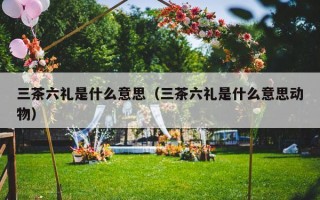 三茶六礼是什么意思（三茶六礼是什么意思动物）