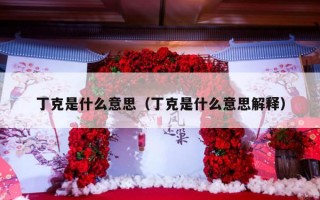 丁克是什么意思（丁克是什么意思解释）