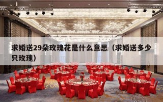 求婚送29朵玫瑰花是什么意思（求婚送多少只玫瑰）