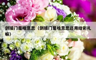 倒插门是啥意思（倒插门是啥意思还用给彩礼嘛）