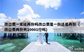 改口费一家给两份吗改口费是一份还是两份（改口费两份共10001行吗）