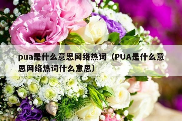 pua是什么意思网络热词（PUA是什么意思网络热词什么意思）-第1张图片