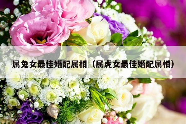 属兔女最佳婚配属相（属虎女最佳婚配属相）-第1张图片