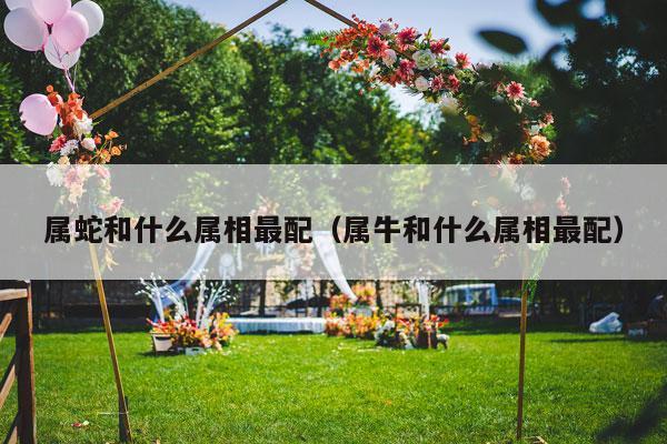 属蛇和什么属相最配（属牛和什么属相最配）-第1张图片