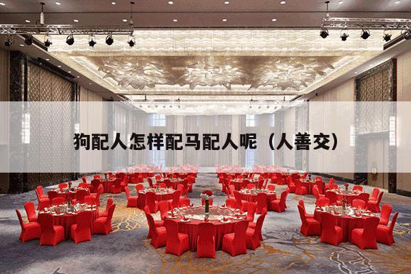 狗配人怎样配马配人呢（人善交）-第1张图片