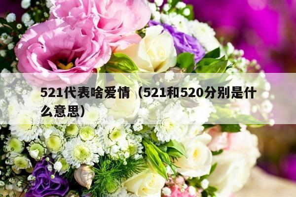 521代表啥爱情（521和520分别是什么意思）-第1张图片