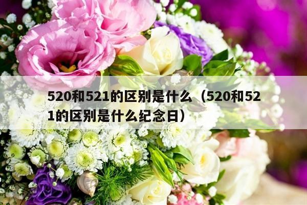 520和521的区别是什么（520和521的区别是什么纪念日）-第1张图片