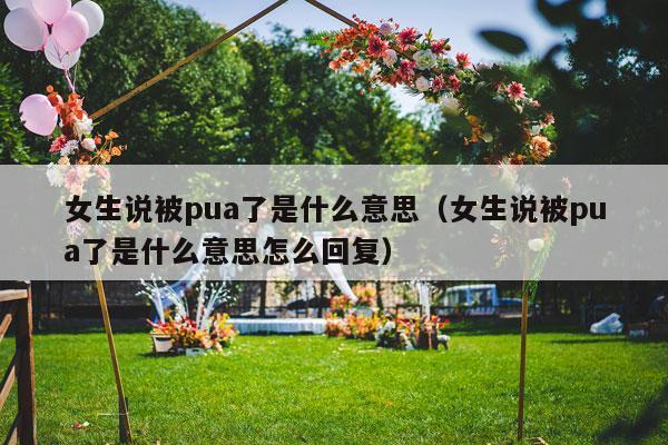 女生说被pua了是什么意思（女生说被pua了是什么意思怎么回复）-第1张图片