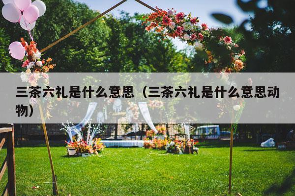三茶六礼是什么意思（三茶六礼是什么意思动物）-第1张图片