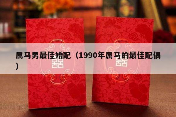 属马男最佳婚配（1990年属马的最佳配偶）-第1张图片