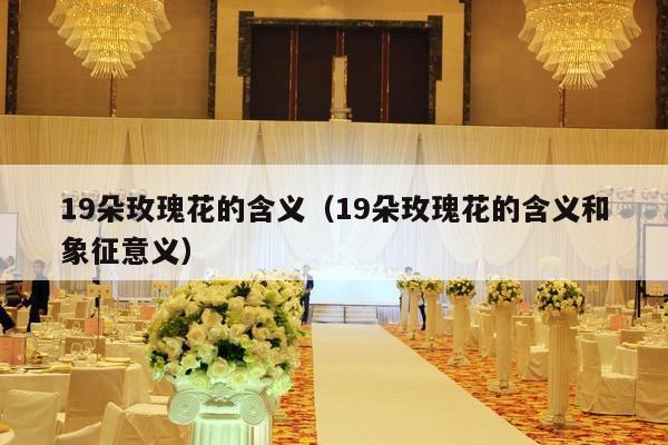 19朵玫瑰花的含义（19朵玫瑰花的含义和象征意义）-第1张图片