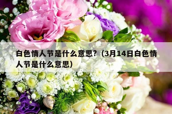 白色情人节是什么意思?（3月14日白色情人节是什么意思）-第1张图片