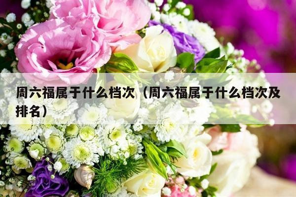 周六福属于什么档次（周六福属于什么档次及排名）-第1张图片