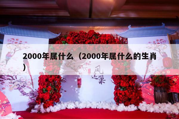 2000年属什么（2000年属什么的生肖）-第1张图片