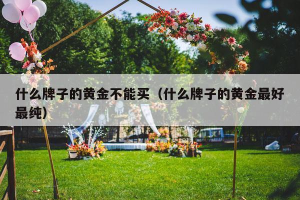 什么牌子的黄金不能买（什么牌子的黄金最好最纯）-第1张图片