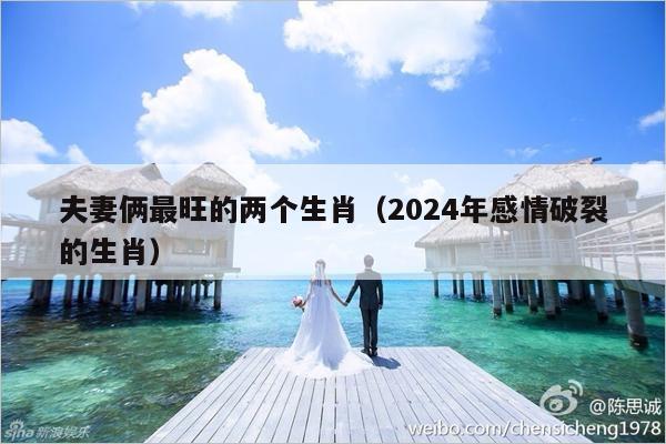 夫妻俩最旺的两个生肖（2024年感情破裂的生肖）-第1张图片