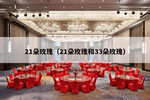 21朵玫瑰（21朵玫瑰和33朵玫瑰）-第1张图片