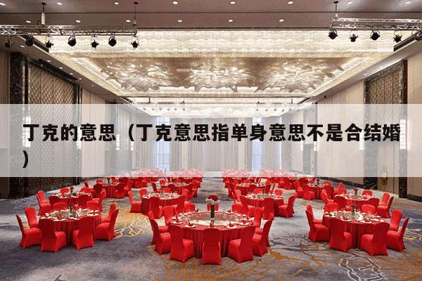 丁克的意思（丁克意思指单身意思不是合结婚）-第1张图片