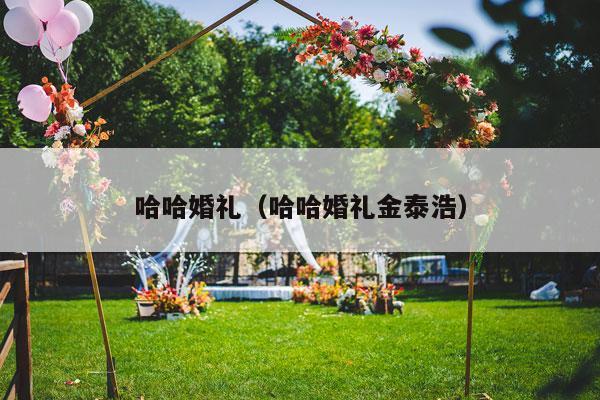哈哈婚礼（哈哈婚礼金泰浩）-第1张图片