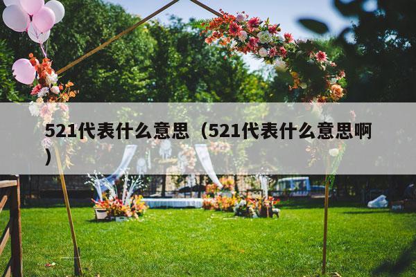 521代表什么意思（521代表什么意思啊）-第1张图片